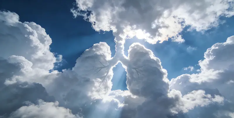 贵阳肺癌（EGFR T790M)突变检测图片1