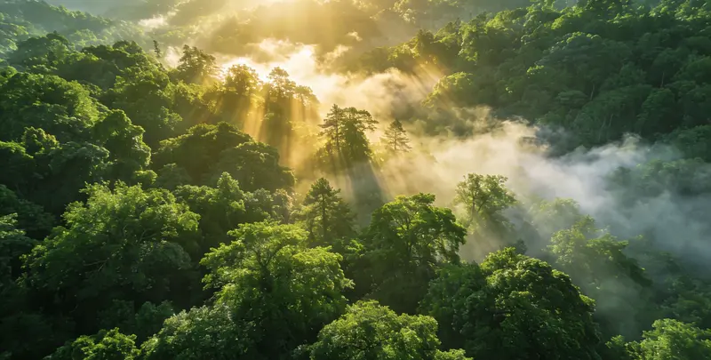 贵阳肺癌13基因突变检测（组织）图片1
