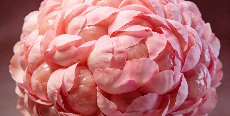 贵阳BRCA1/2乳腺癌卵巢癌基因检测图片1