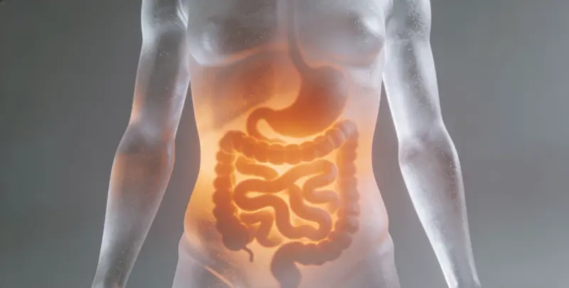 贵阳胃癌分子分型基因检测项目（组织）图片1